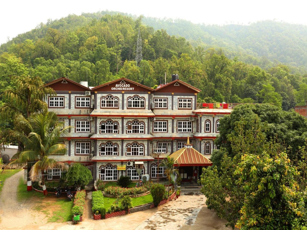 Avocado Orchid Resort Hetauda Экстерьер фото